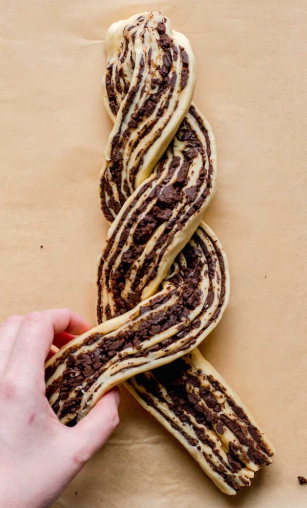 Chocolate Espresso Babka The Cozy Plum