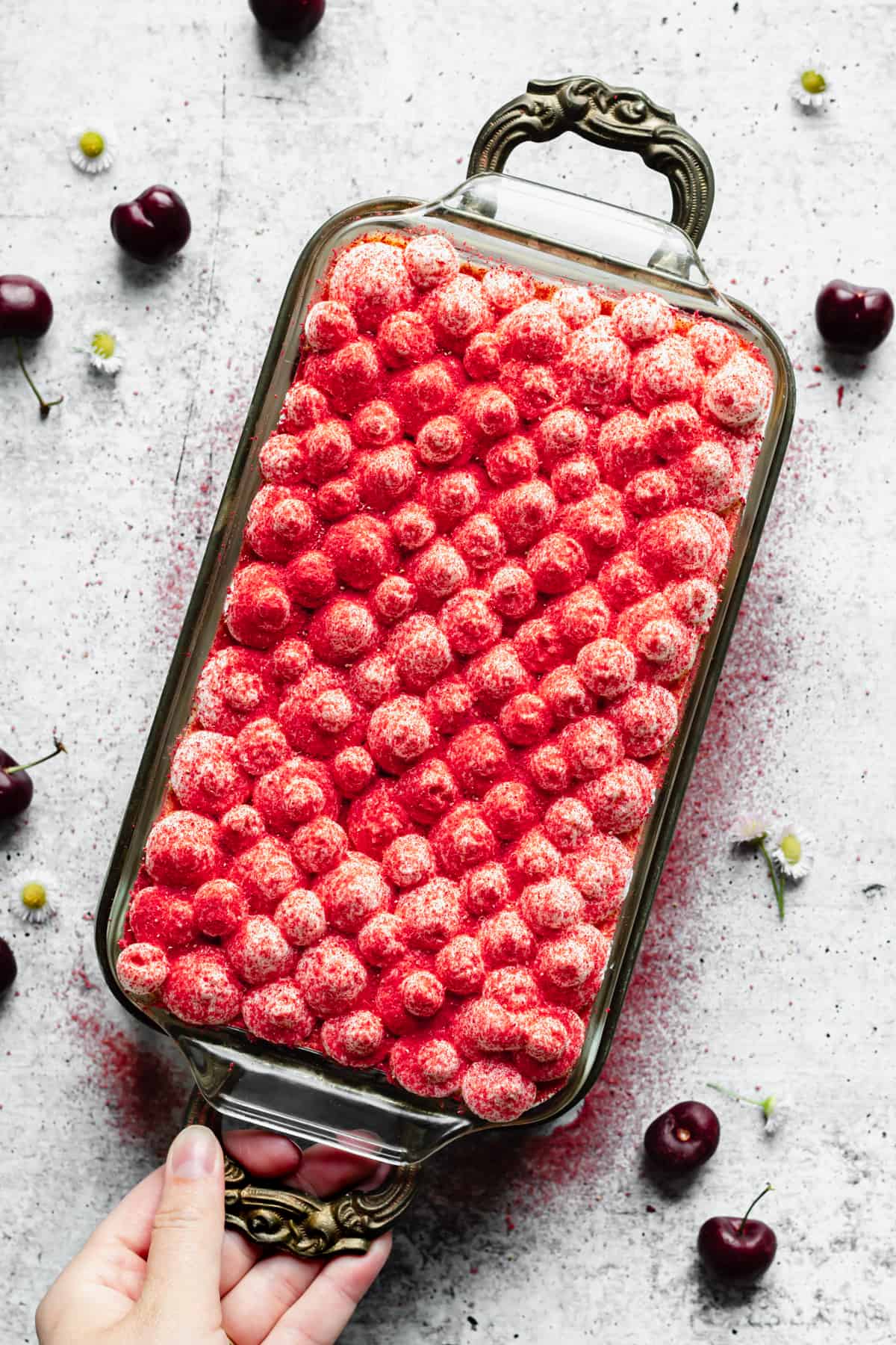 Overhead shot of a fully dusted cherry almond tiramisu with cherry powder.