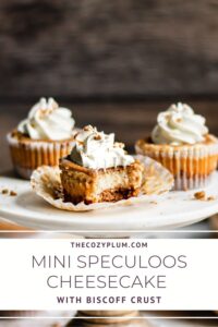 Pinterest pin of mini speculoos cheesecake