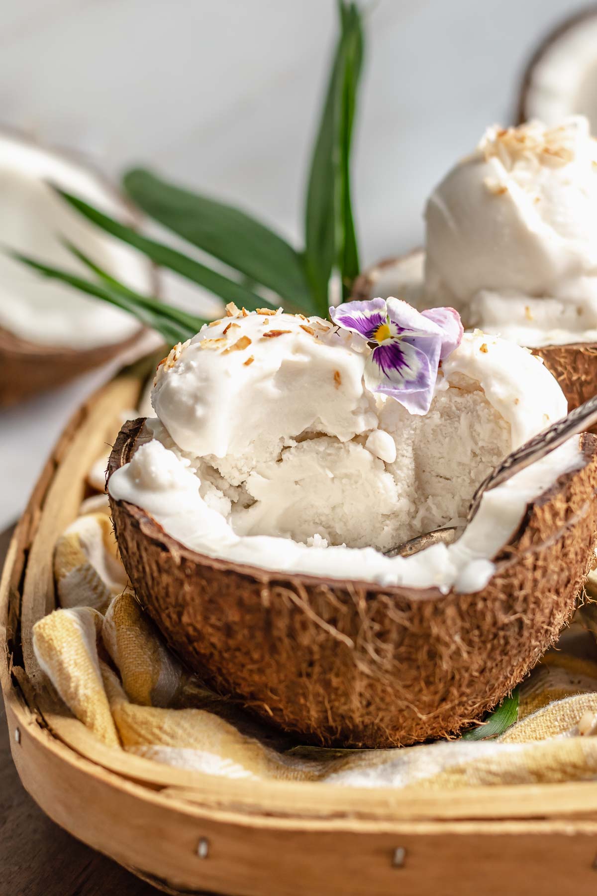Scoops of coconut sorbet in a coconut shell with some bites removed.