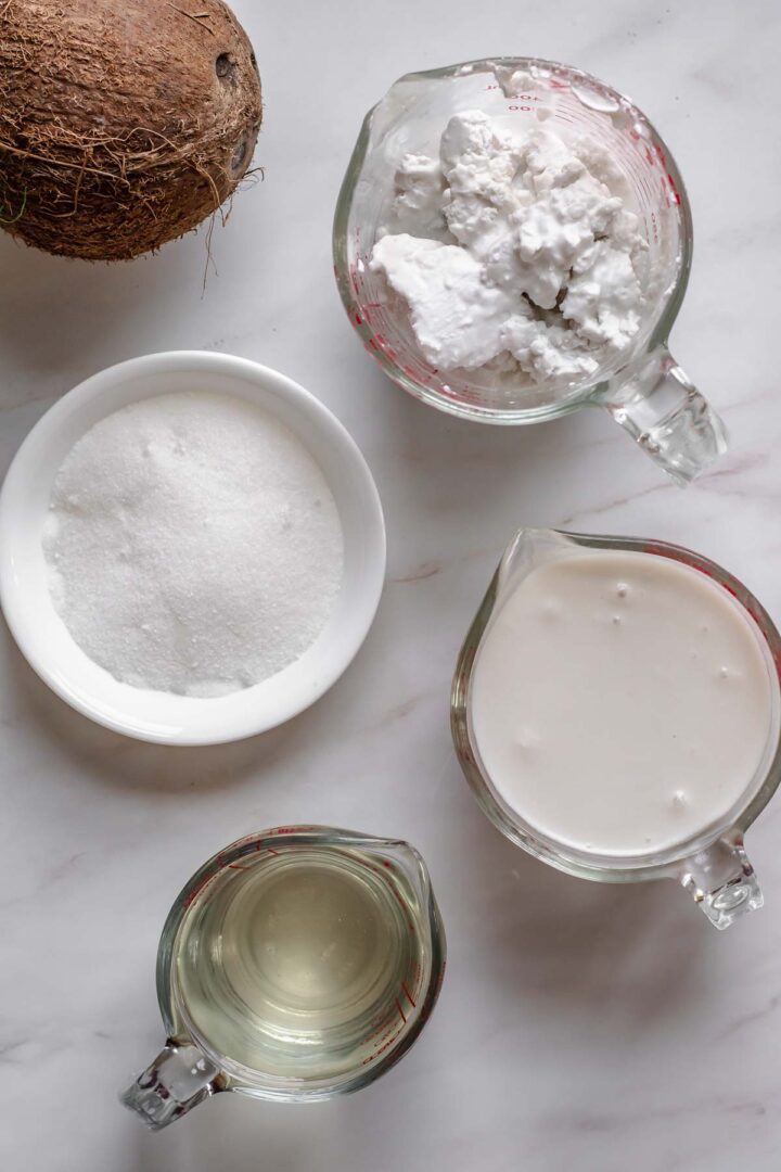 Coconut Sorbet – The Cozy Plum