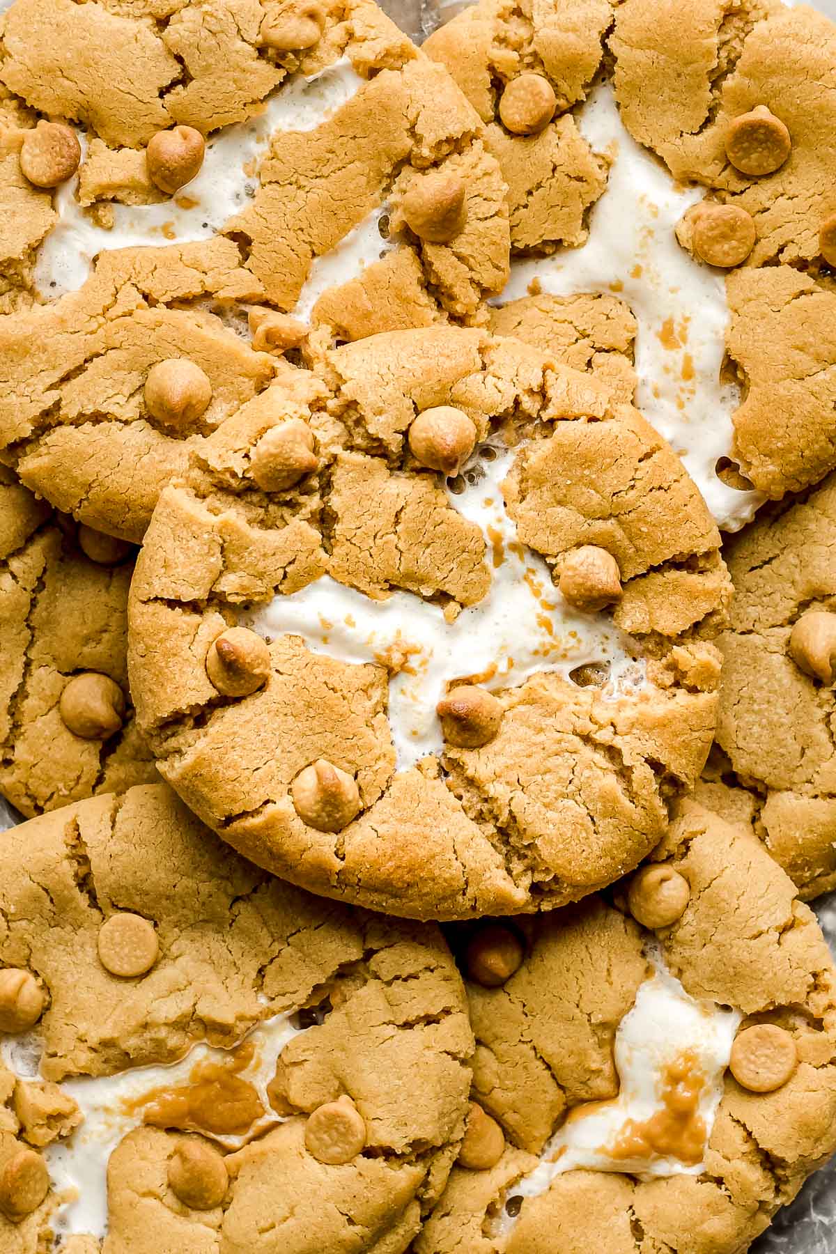 Close up of a peanut butter marshmallow cookie.