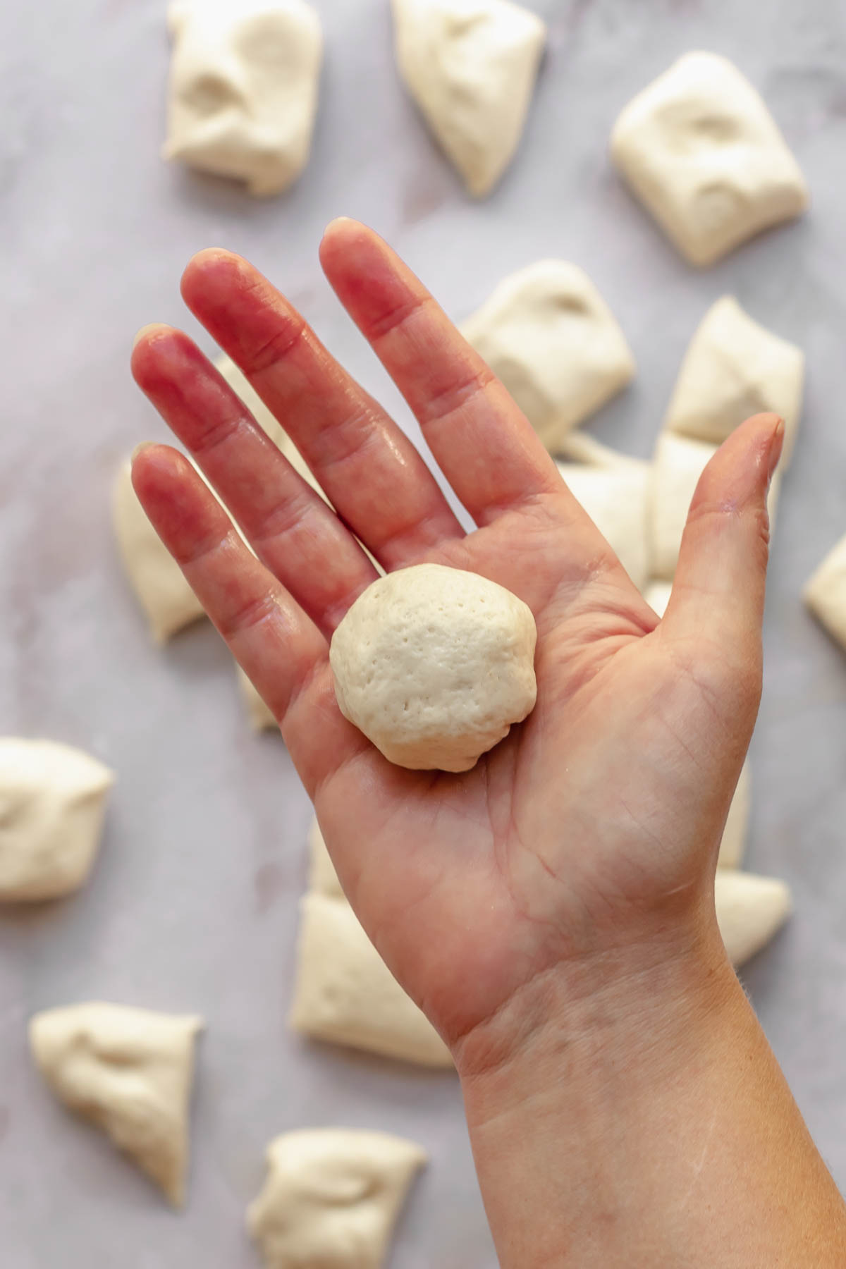 A round ball of pizza dough in the palm of a hand.